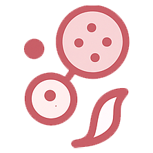 Herpes Genital
